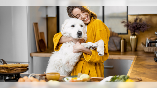 Top Pet-Friendly Holiday Recipes for Dogs and Cats