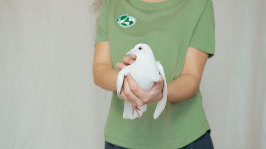 The Benefits of Regular Wing Clipping for Pet Birds