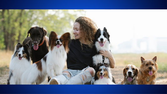 Top 10 Dog Breeds for Apartment Living