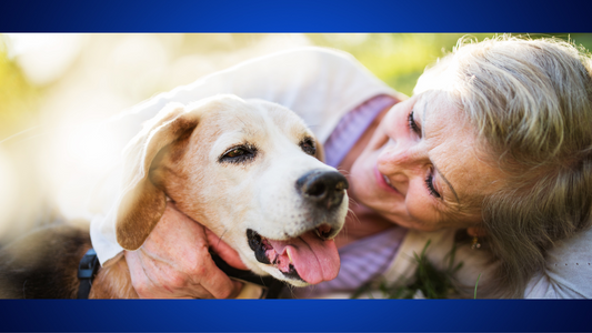 The Benefits of Adopting a Senior Pet