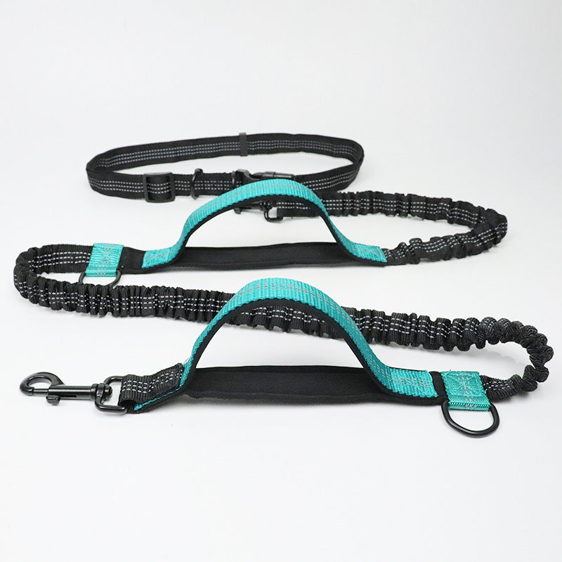 Multi-Function Reflective Pull Leash