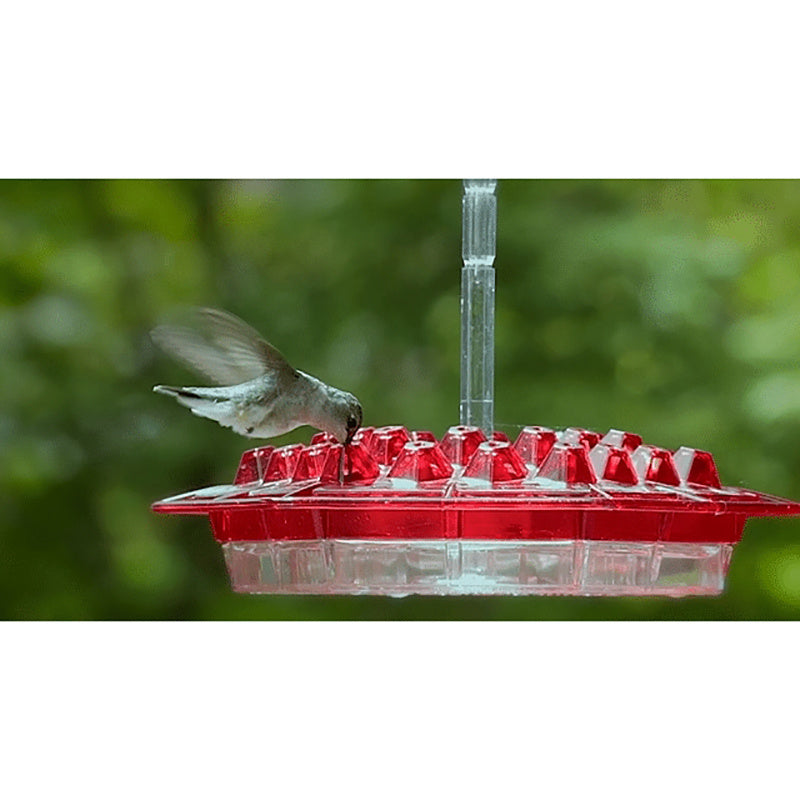 Hanging Red Hexagonal Hummingbird Feeder