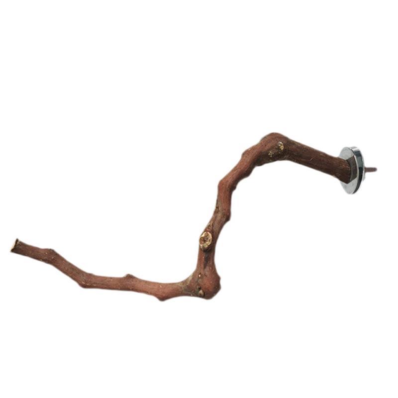 Support pour perroquet en vigne naturelle