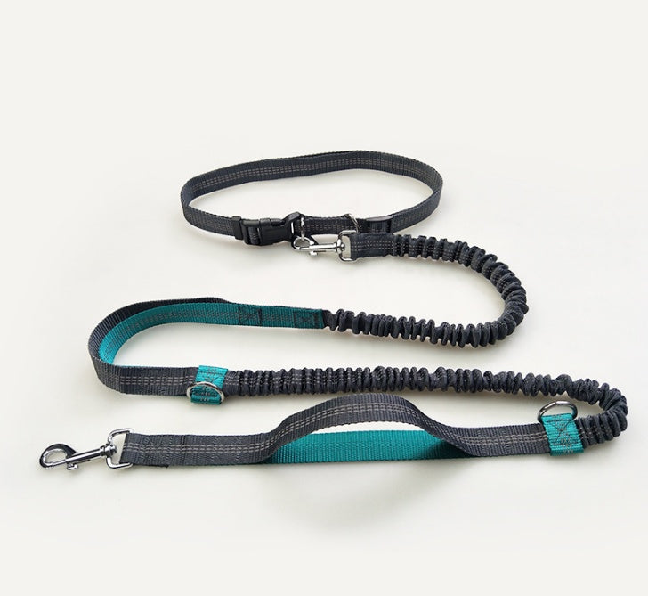 Multi-Function Reflective Pull Leash