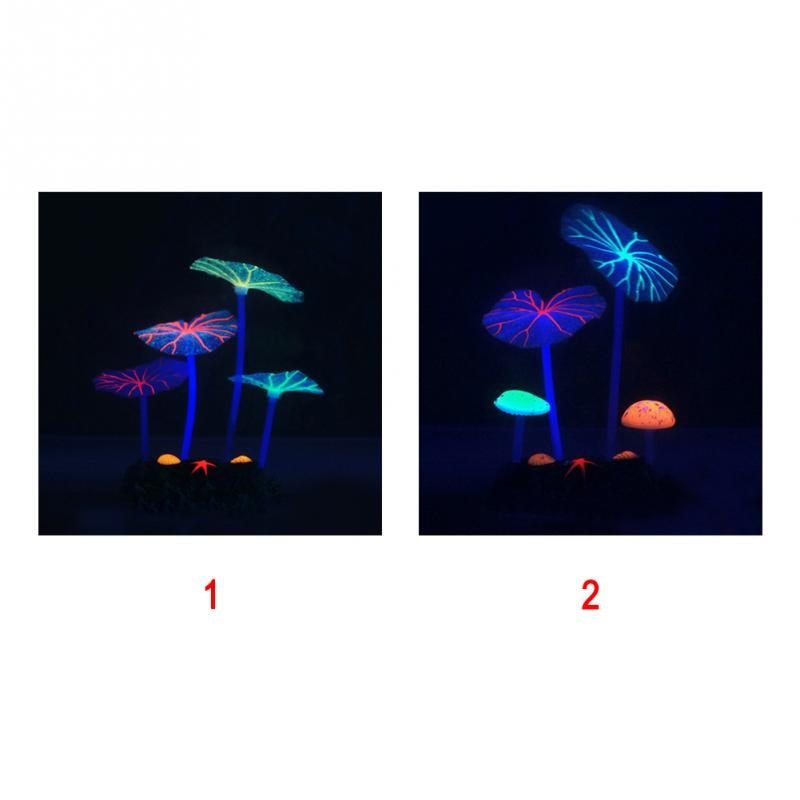 Plante d'aquarium Lotus EcoBloom