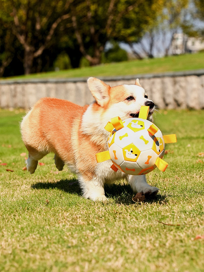 PawPals Premium Dog Football