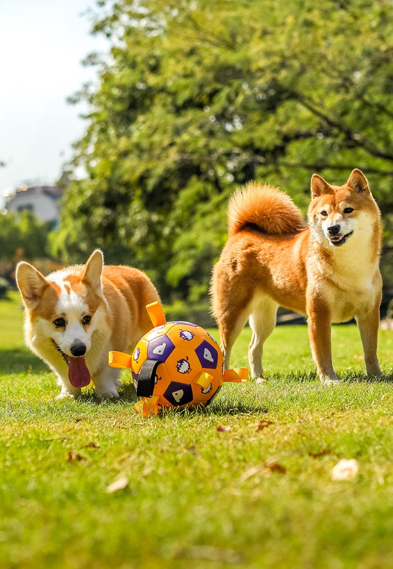 PawPals Premium Dog Football