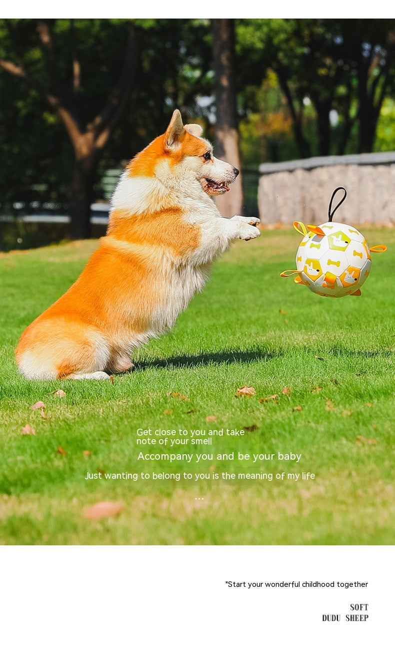 PawPals Premium Dog Football