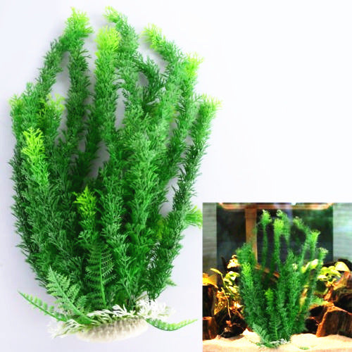Ornement de plante de simulation AquaScape
