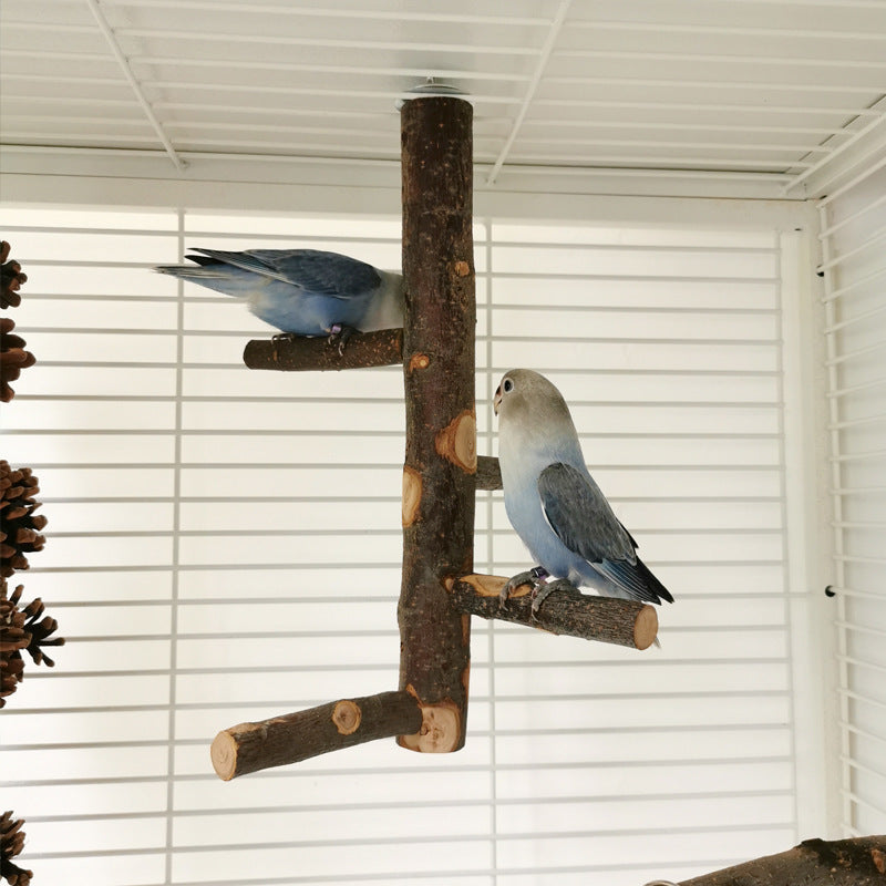 Jouet en bois pour perroquet et oiseau