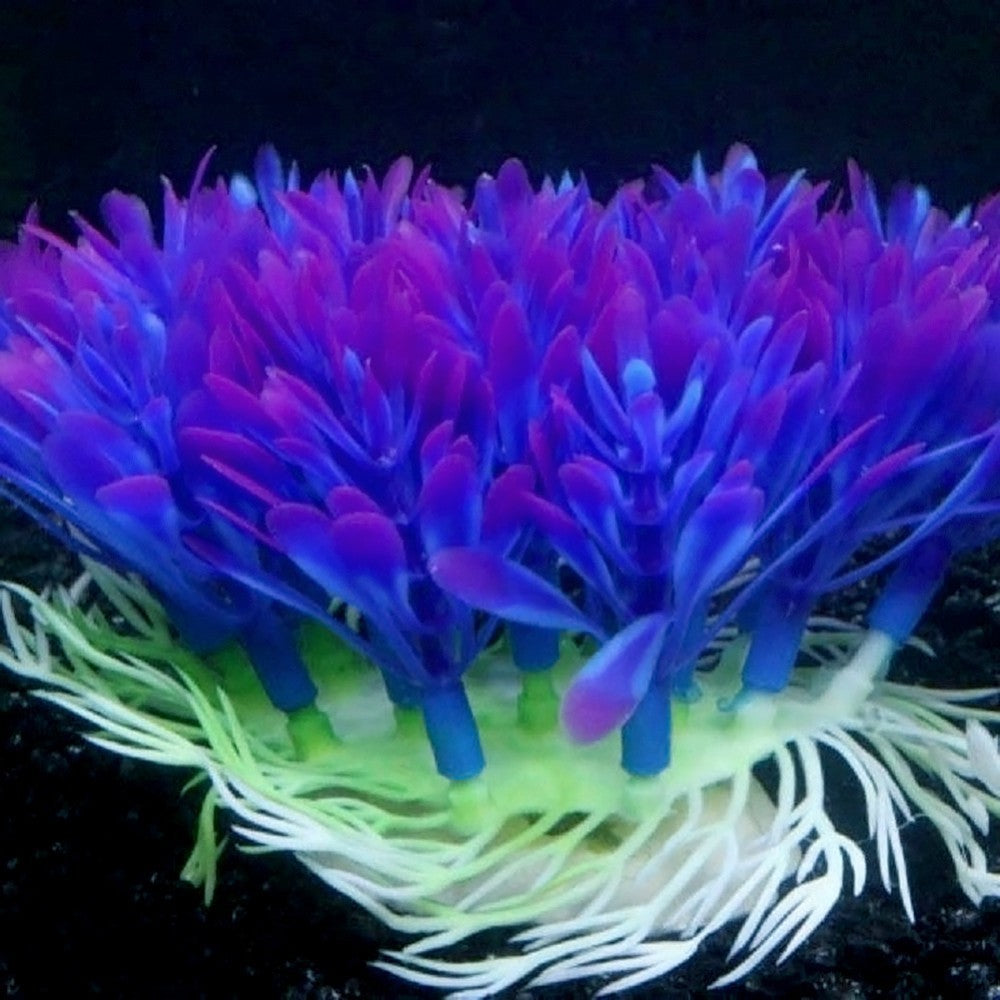 Décoration d'aquarium en herbe ronde violette