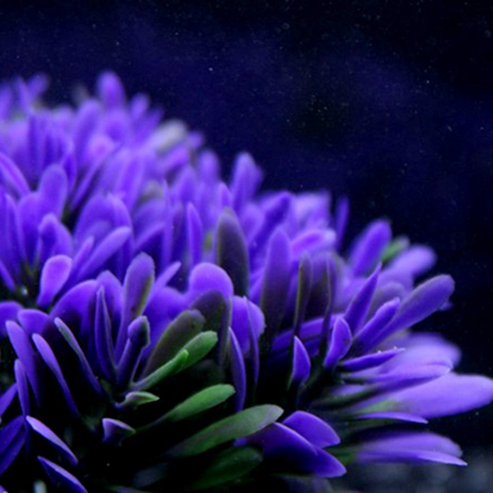 Décoration d'aquarium en herbe ronde violette