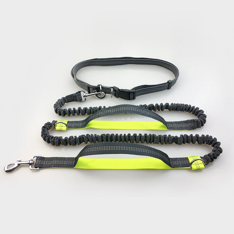 Multi-Function Reflective Pull Leash