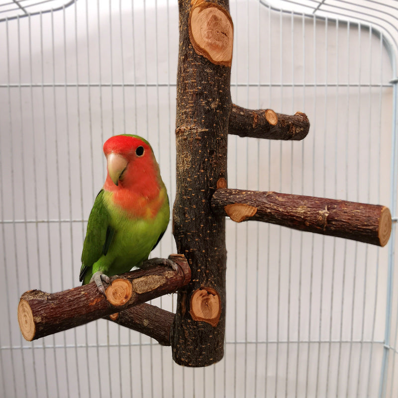 Jouet en bois pour perroquet et oiseau