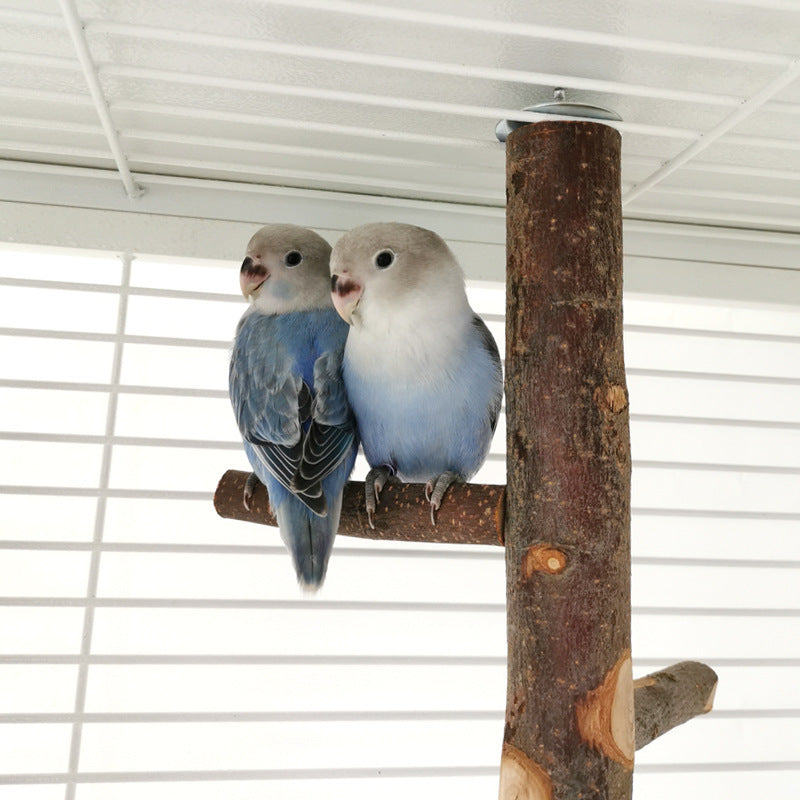 Jouet en bois pour perroquet et oiseau