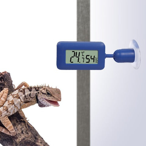 Blue Digital reptile thermometer in a terrarium
