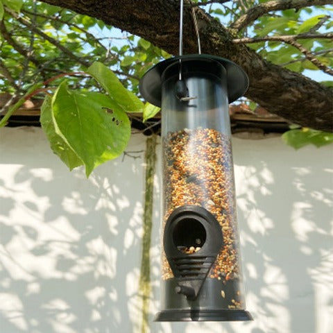 Automatic Outdoor Bird Feeder: full of grains