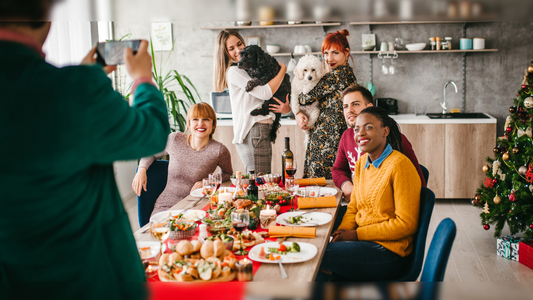 Creating the Perfect Holiday Photos with Your Pet