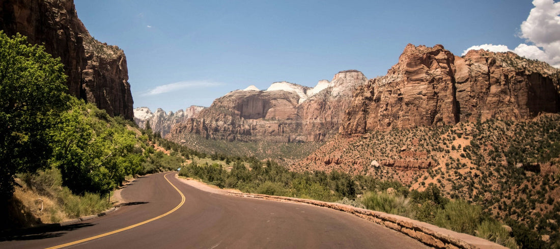 Pet Travel Tips: How to Prepare for a Road Trip