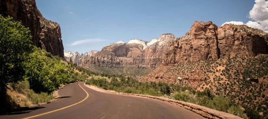 Pet Travel Tips: How to Prepare for a Road Trip