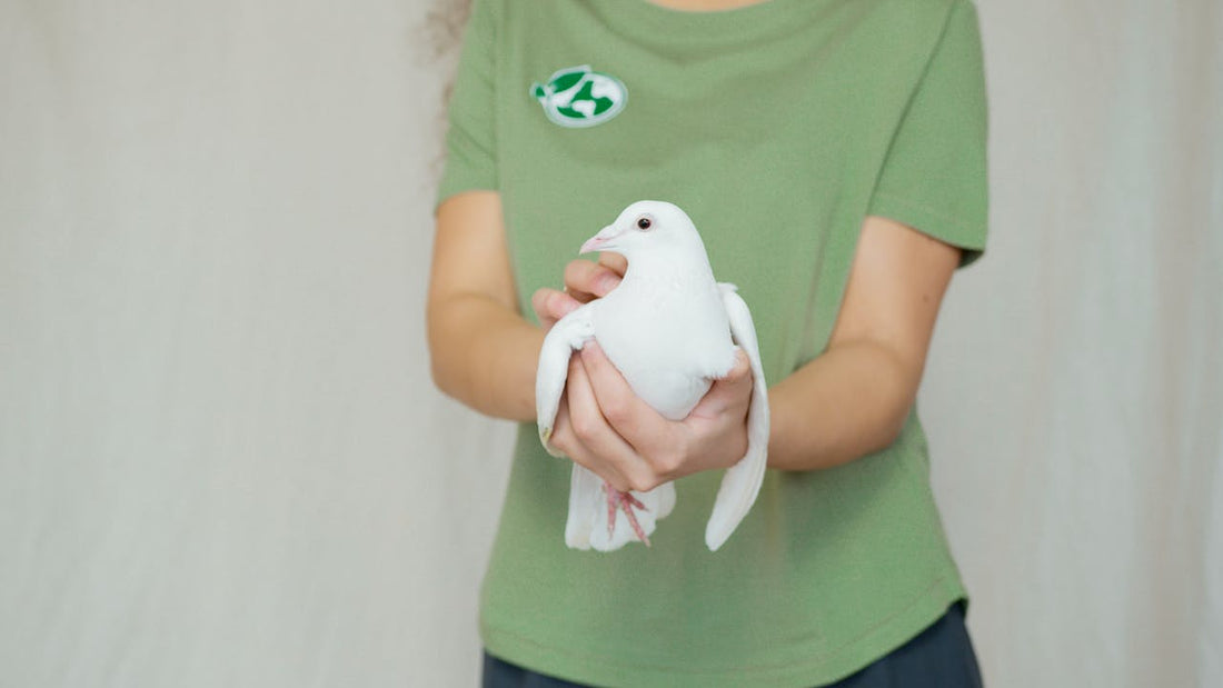 The Benefits of Regular Wing Clipping for Pet Birds