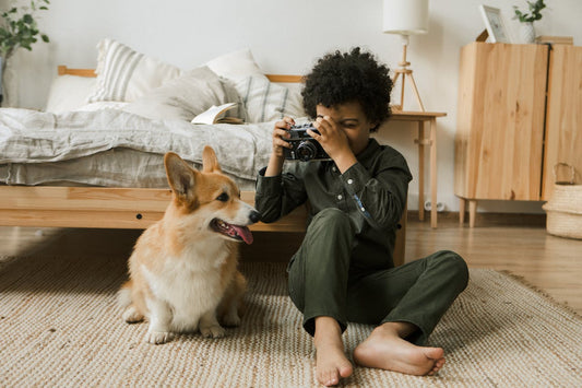 Tips for Photographing Your Pets