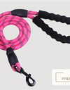 Reflective Nylon Dog Leash