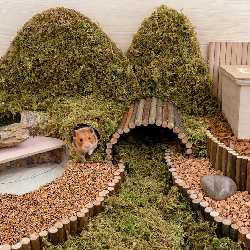 Oak Cork Hamster Digging Bedding