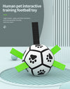 Grab-N-Play Soccer Ball Toy