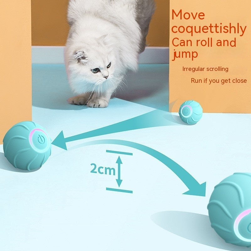 Smart Cat Rolling Ball