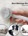 Pet Grooming Brush with Self-Cleaning Feature