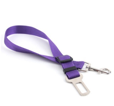 PetGuard SecureRide Leash