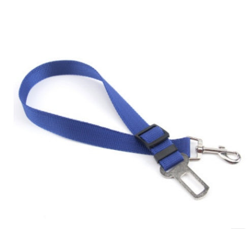 PetGuard SecureRide Leash