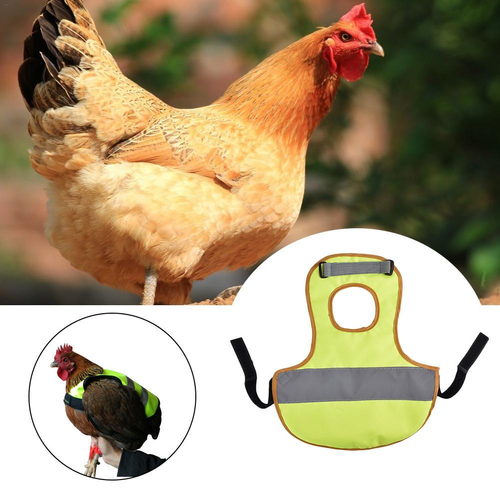 Chicken Reflective Vest