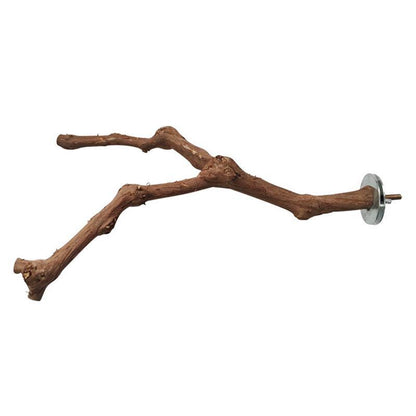 Support pour perroquet en vigne naturelle