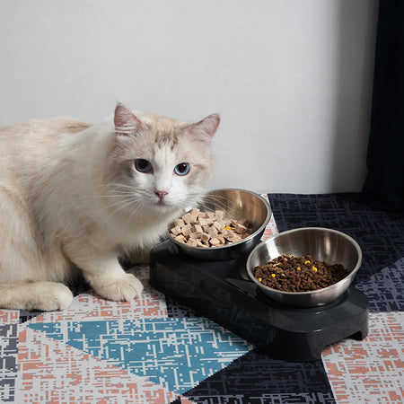 Stainless Steel Adjustable Cat Bowl