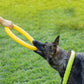 Dog Training Pull Ring