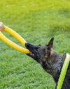 Dog Training Pull Ring