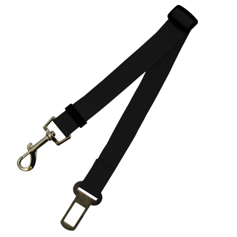 PetGuard SecureRide Leash