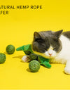 Pea Pod Cat Toy Set with Sound