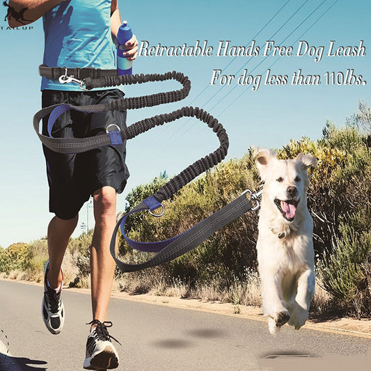 Multi-Function Running Reflective Pull Leash