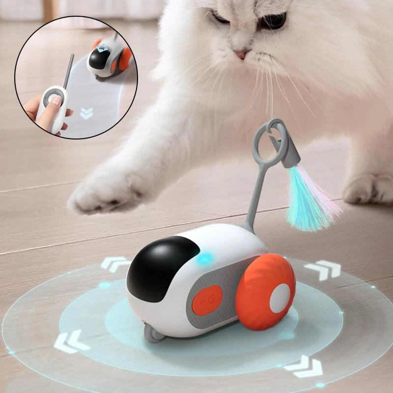 CatJoy RC Car Toy