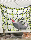 Bird Climbing Net