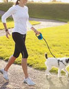 PetPro Telescopic Retractable Leash