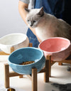 Oblique Cat Bowl