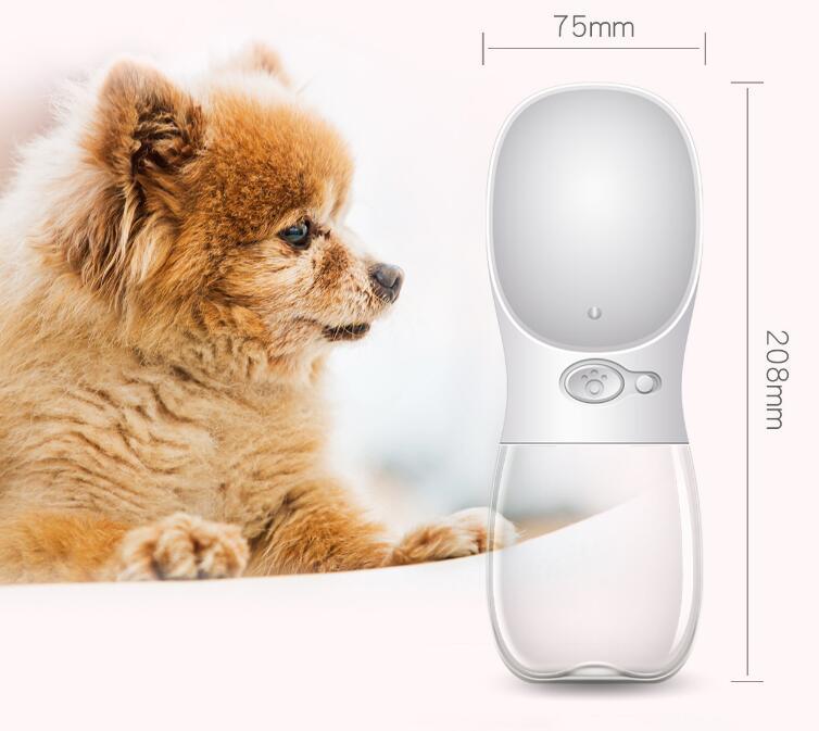 EasyPour Pet Water Dispenser