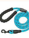 Reflective Nylon Dog Leash