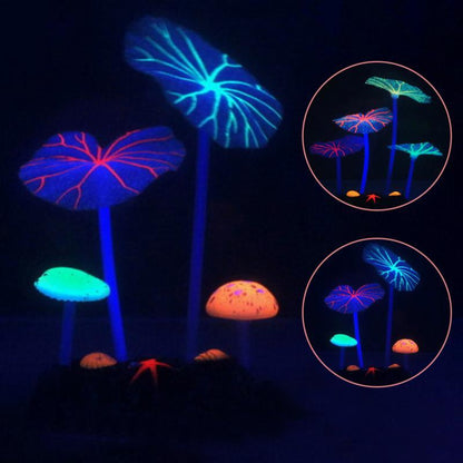 Plante d'aquarium Lotus EcoBloom