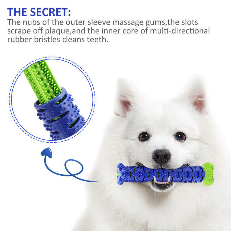 DentaBone Chew & Clean Toy