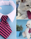 Stylish Pet Ties